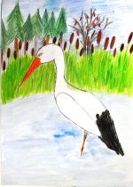 Švirková Tereza.jpg